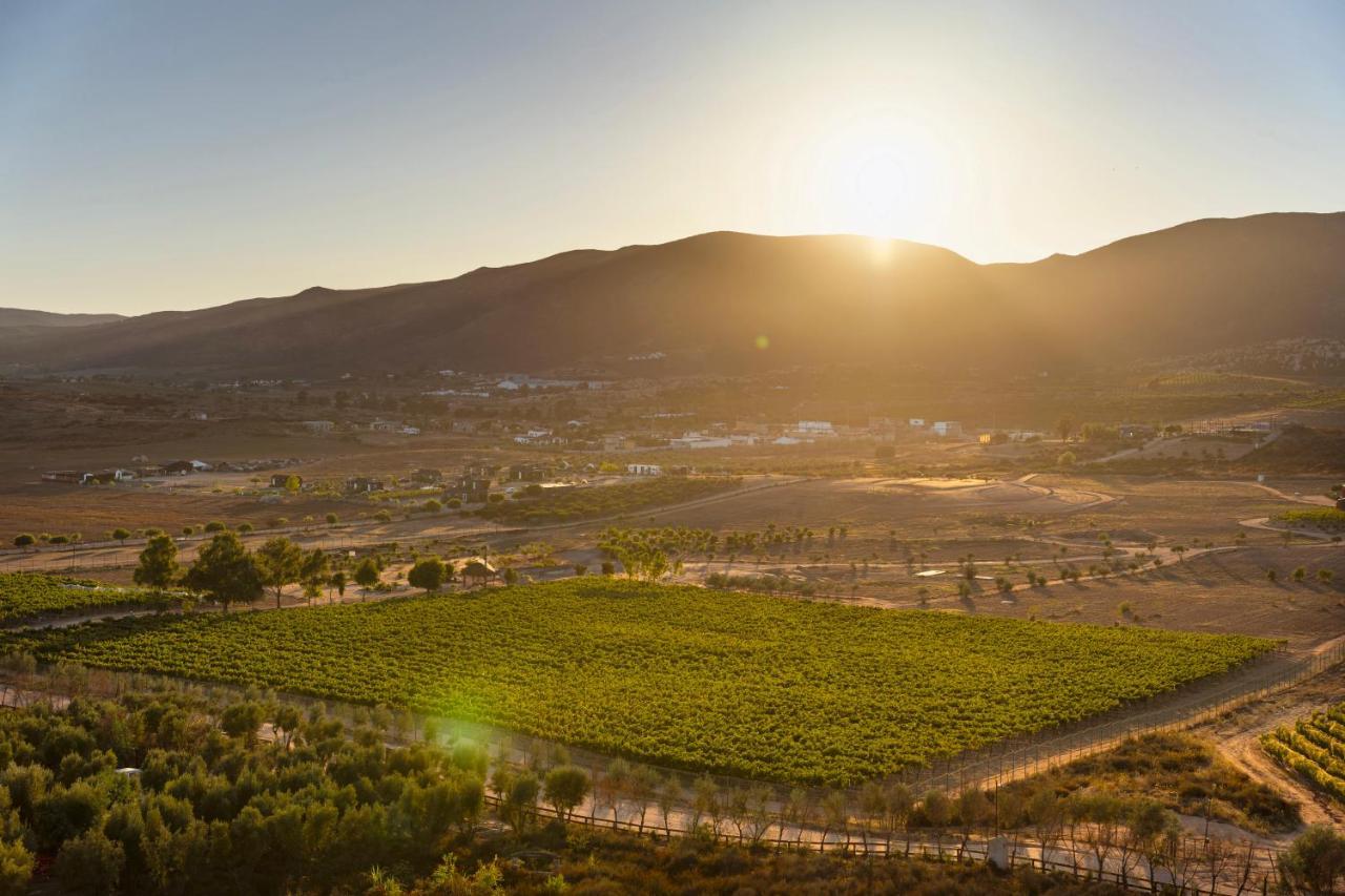 Banyan Tree Veya, Valle De Guadalupe - A Wellbeing & Wine Resort Экстерьер фото