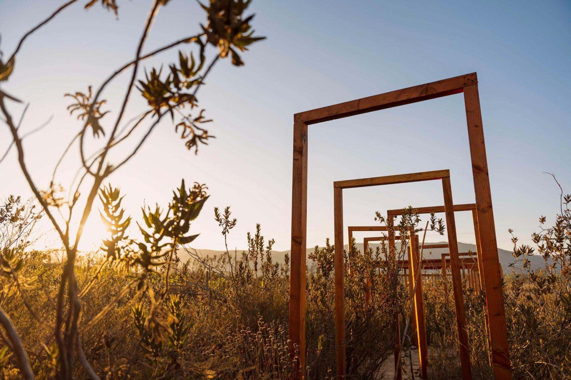 Banyan Tree Veya, Valle De Guadalupe - A Wellbeing & Wine Resort Экстерьер фото