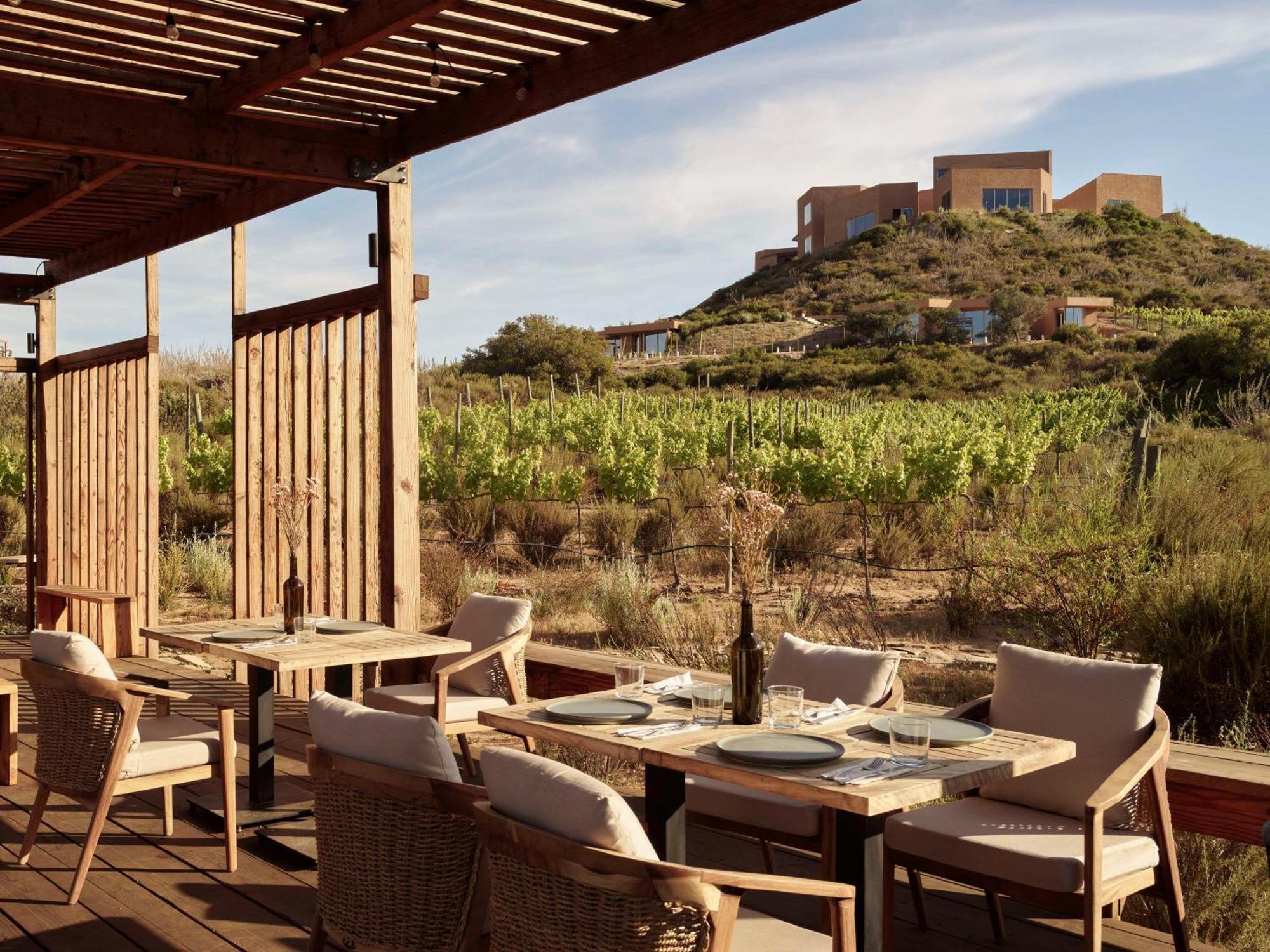 Banyan Tree Veya, Valle De Guadalupe - A Wellbeing & Wine Resort Экстерьер фото